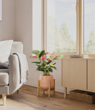 Load image into Gallery viewer, Calm Rose stand:bamboo