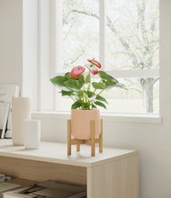 Load image into Gallery viewer, Gentle Pink stand:bamboo