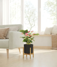 Load image into Gallery viewer, Black stand:bamboo