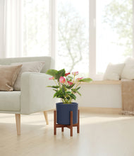 Load image into Gallery viewer, Deep Navy stand:walnut