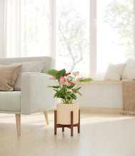 Load image into Gallery viewer, Cream stand:walnut