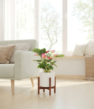 Load image into Gallery viewer, White stand:walnut