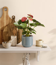 Load image into Gallery viewer, Misty Blue