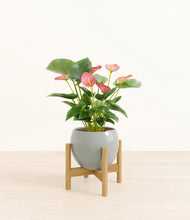 Load image into Gallery viewer, Deep Ocean stand:bamboo