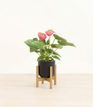 Load image into Gallery viewer, Stone Black stand:bamboo