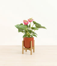 Load image into Gallery viewer, Glossy Red stand:bamboo