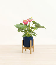 Load image into Gallery viewer, Twilight Blue stand:bamboo