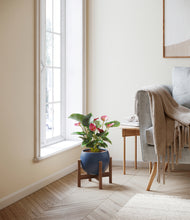 Load image into Gallery viewer, Deep Navy stand:walnut