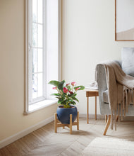 Load image into Gallery viewer, Deep Navy stand:bamboo