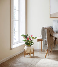 Load image into Gallery viewer, Shiny EggWhite stand:bamboo