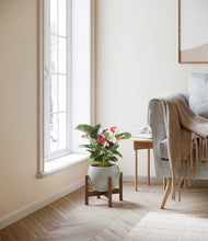 Load image into Gallery viewer, Deep Ocean stand:walnut