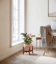 Load image into Gallery viewer, Calm Rose stand:walnut