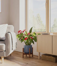 Load image into Gallery viewer, Deep Navy stand:walnut