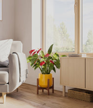 Load image into Gallery viewer, Mustard stand:walnut