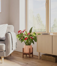 Load image into Gallery viewer, Calm Rose stand:walnut