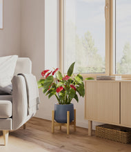 Load image into Gallery viewer, Deep Navy stand:bamboo