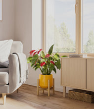 Load image into Gallery viewer, Mustard stand:bamboo