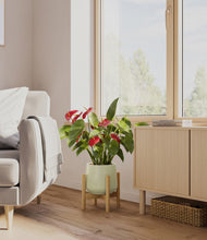 Load image into Gallery viewer, Turquoise stand:bamboo