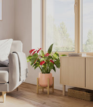 Load image into Gallery viewer, Calm Rose stand:bamboo