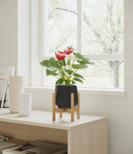 Load image into Gallery viewer, Black stand:bamboo