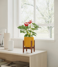 Load image into Gallery viewer, Mustard stand:walnut