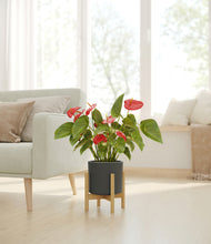 Load image into Gallery viewer, Dark Olive stand:bamboo