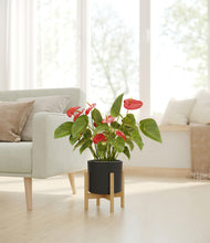 Load image into Gallery viewer, Black stand:bamboo