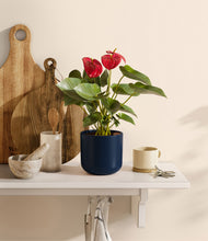 Load image into Gallery viewer, Twilight Blue