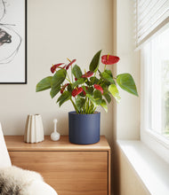 Load image into Gallery viewer, Deep Navy