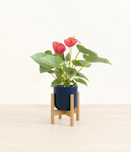 Load image into Gallery viewer, Twilight Blue stand:bamboo