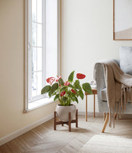 Load image into Gallery viewer, Winter Clouds stand:walnut