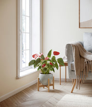 Load image into Gallery viewer, Deep Ocean stand:bamboo