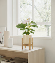 Load image into Gallery viewer, Almond Green stand:bamboo