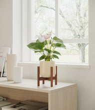 Load image into Gallery viewer, Almond Green stand:walnut
