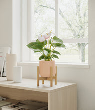 Load image into Gallery viewer, Gentle Pink stand:bamboo