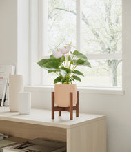 Load image into Gallery viewer, Gentle Pink stand:walnut