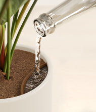 Load image into Gallery viewer, -