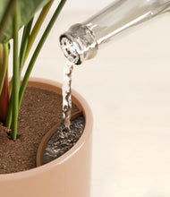 Load image into Gallery viewer, -