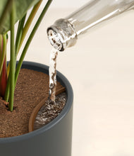 Load image into Gallery viewer, -