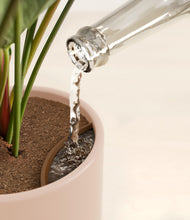 Load image into Gallery viewer, -