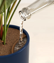 Load image into Gallery viewer, -