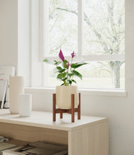 Load image into Gallery viewer, Almond Green stand:walnut