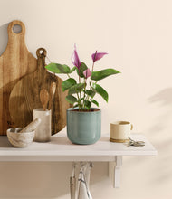 Load image into Gallery viewer, Reactive Aqua