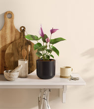 Load image into Gallery viewer, Stone Black