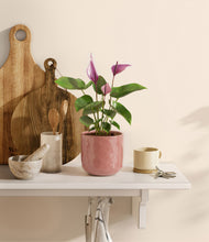 Load image into Gallery viewer, Hammered Rose Pink