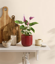 Load image into Gallery viewer, Striped Cherry Red