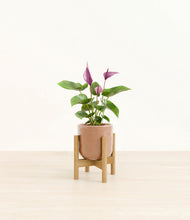 Load image into Gallery viewer, Hammered Peach Pink stand:bamboo