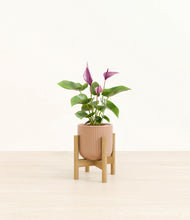 Load image into Gallery viewer, Striped Peach Pink stand:bamboo