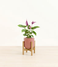 Load image into Gallery viewer, Hammered Rose Pink stand:bamboo
