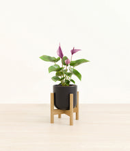 Load image into Gallery viewer, Stone Black stand:bamboo